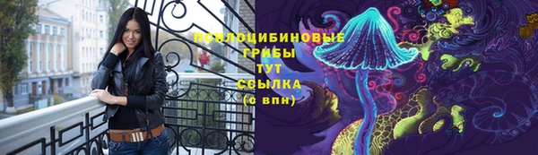 бутират Богданович