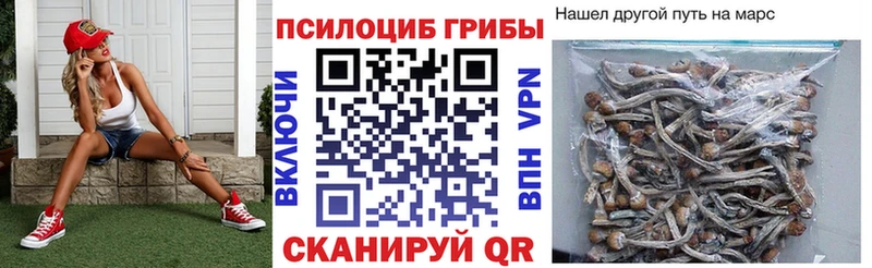 Галлюциногенные грибы Magic Shrooms Среднеуральск