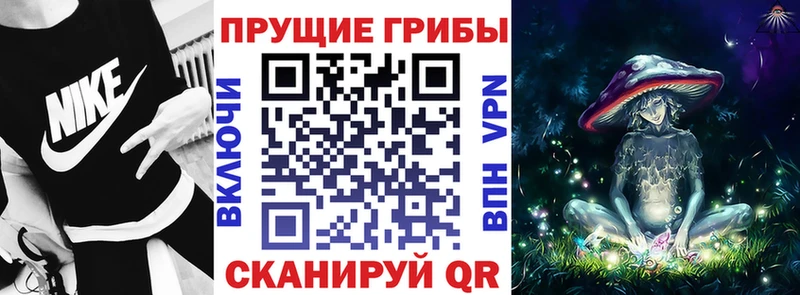 закладка  MEGA ссылка  Псилоцибиновые грибы MAGIC MUSHROOMS  нарко площадка формула  Среднеуральск 