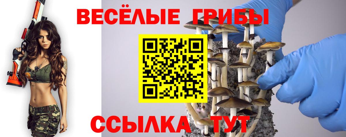 Среднеуральск  Галлюциногенные грибы прущие грибы  Вход с VPN 